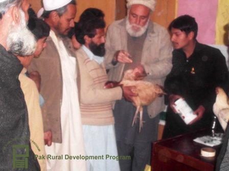 ubaidullah-agri-officer-shangla-imparting-kitchen-gardening-training.jpg